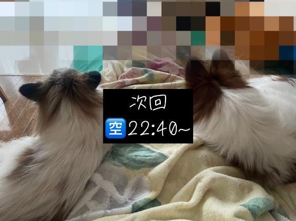 残り2日?｜写メ日記｜フウカ｜渋谷 一般デリヘル マテリアル