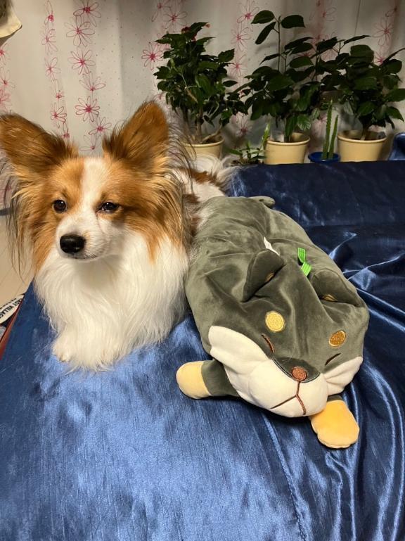 次回23:30~?｜写メ日記｜フウカ｜渋谷 一般デリヘル マテリアル