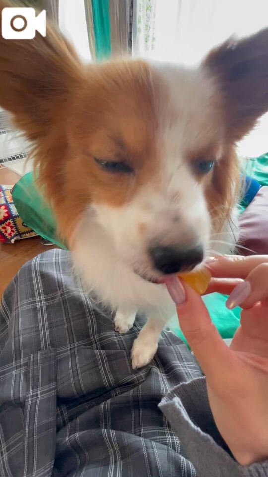 帰省1日目?｜写メ日記｜フウカ｜渋谷 一般デリヘル マテリアル