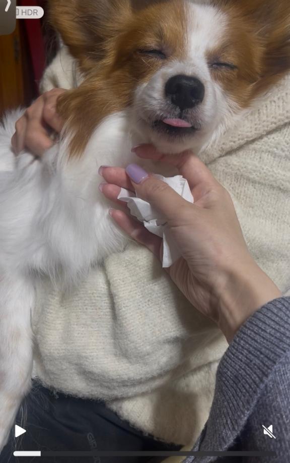 【???♀?】昨日の報告