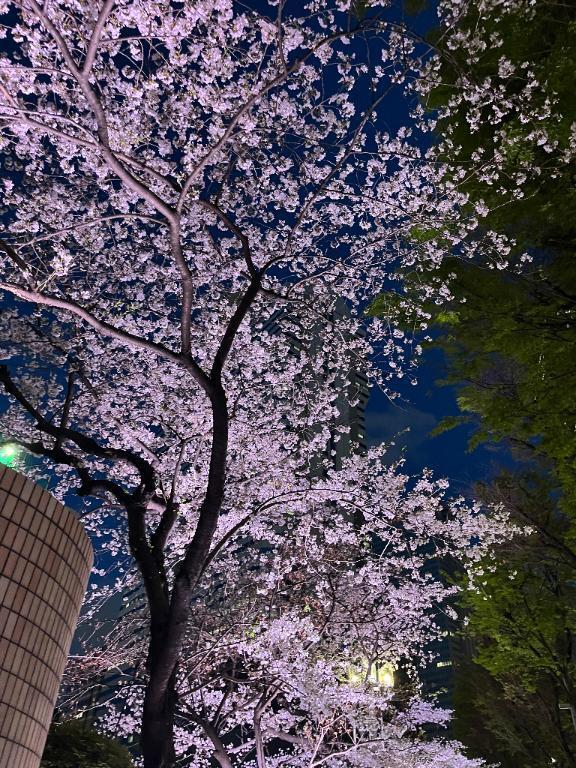 お礼｜写メ日記｜ヒトミ｜渋谷 一般デリヘル マテリアル