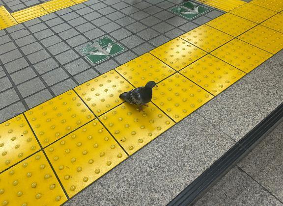 バーナム効果?｜写メ日記｜リズ｜渋谷 一般デリヘル マテリアル