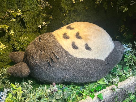 ト?トロ?｜写メ日記｜リズ｜渋谷 一般デリヘル マテリアル