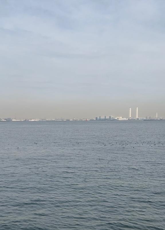 二月は逃げる｜写メ日記｜リズ｜渋谷 一般デリヘル マテリアル