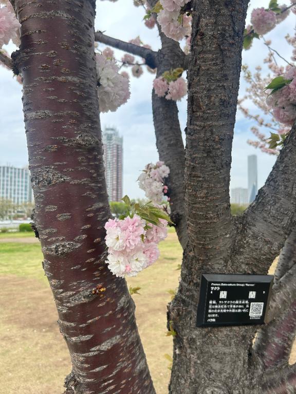 蘭蘭｜写メ日記｜リズ｜渋谷 一般デリヘル マテリアル