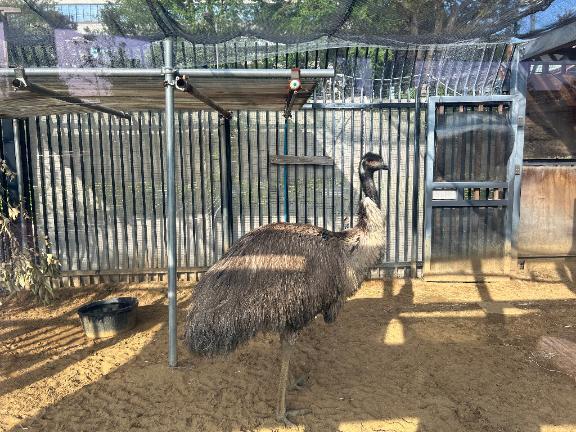 アイドル適正｜写メ日記｜リズ｜渋谷 一般デリヘル マテリアル