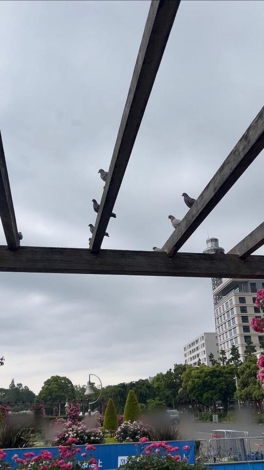 写メ動メ（？）｜写メ日記｜リズ｜渋谷 一般デリヘル マテリアル