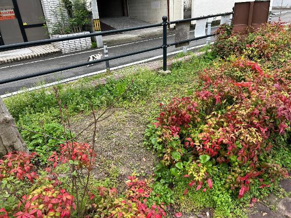 遠隔踏み踏み??｜写メ日記｜リズ｜渋谷 一般デリヘル マテリアル