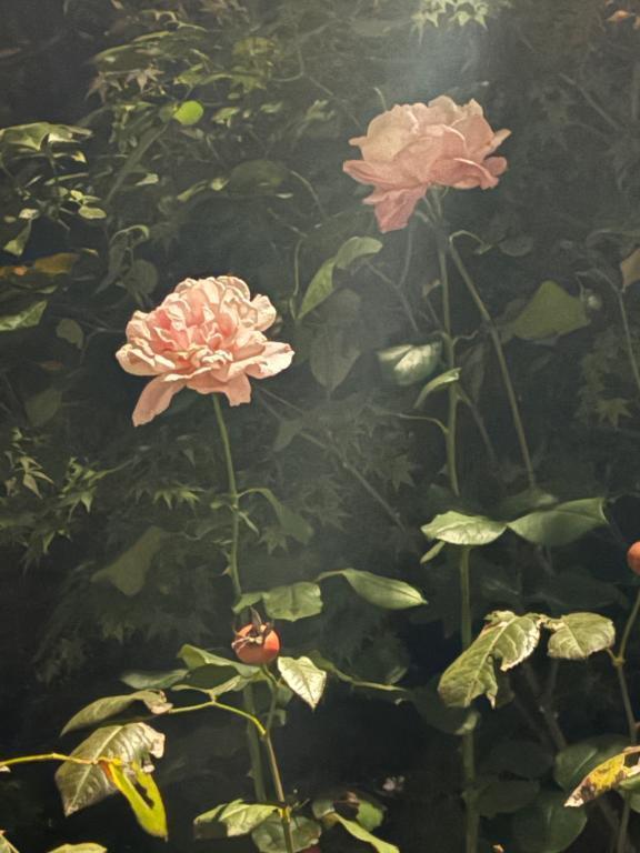 こんにちは！?｜写メ日記｜スズ｜渋谷 一般デリヘル マテリアル