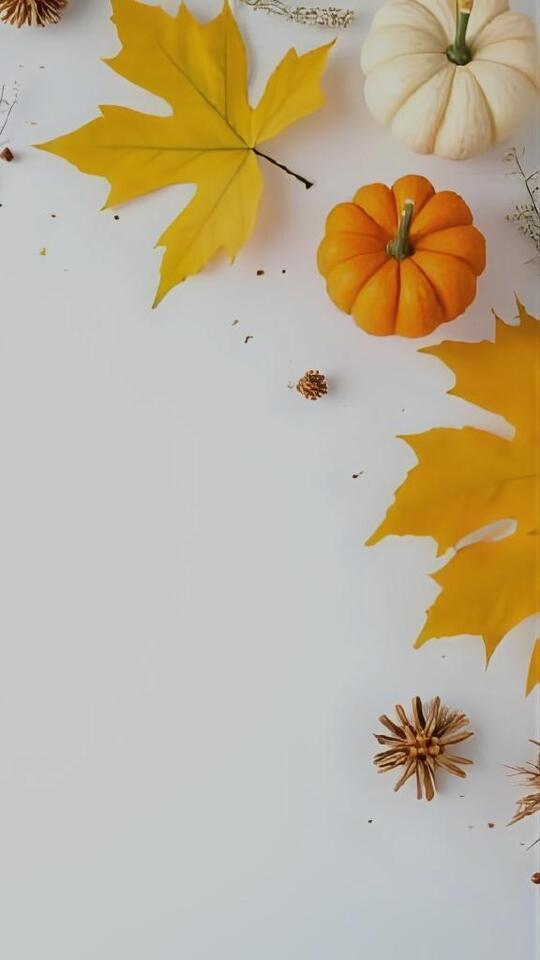 ?和菓子｜写メ日記｜ユヅキ｜渋谷 一般デリヘル マテリアル