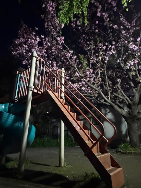 ?｜写メ日記｜ナコ｜渋谷 一般デリヘル マテリアル