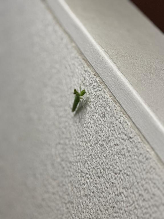 ?｜写メ日記｜ナコ｜渋谷 一般デリヘル マテリアル