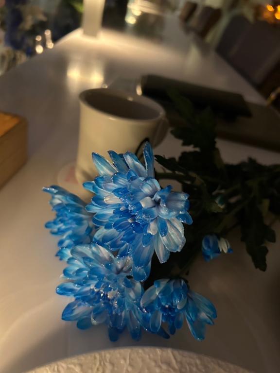 今月もありがとう??｜写メ日記｜ミナト｜渋谷 一般デリヘル マテリアル