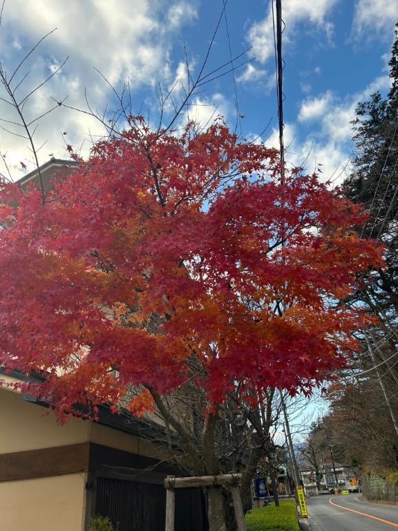 毎日明るく??｜写メ日記｜ミナト｜渋谷 一般デリヘル マテリアル