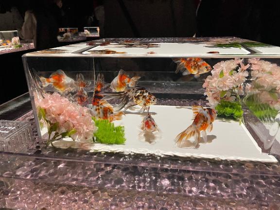 今月のお礼??｜写メ日記｜ミナト｜渋谷 一般デリヘル マテリアル