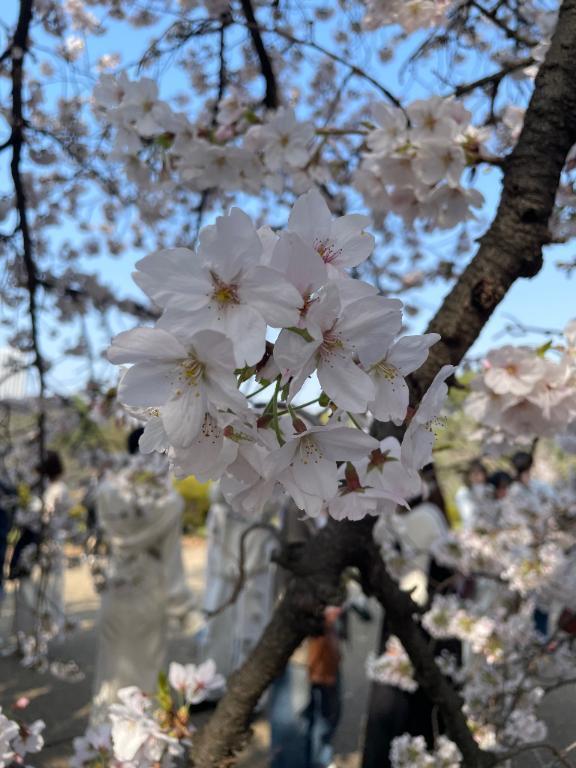 今月のお礼??｜写メ日記｜ミナト｜渋谷 一般デリヘル マテリアル