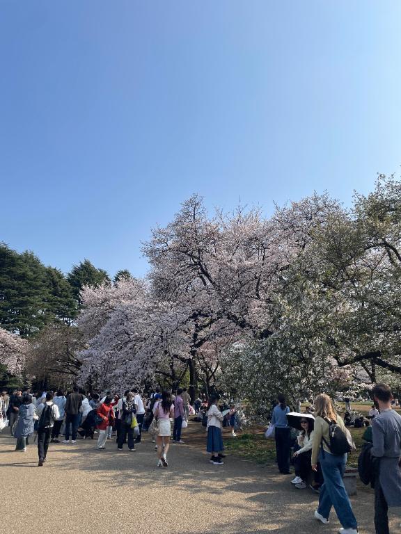 今月の予定??｜写メ日記｜ミナト｜渋谷 一般デリヘル マテリアル