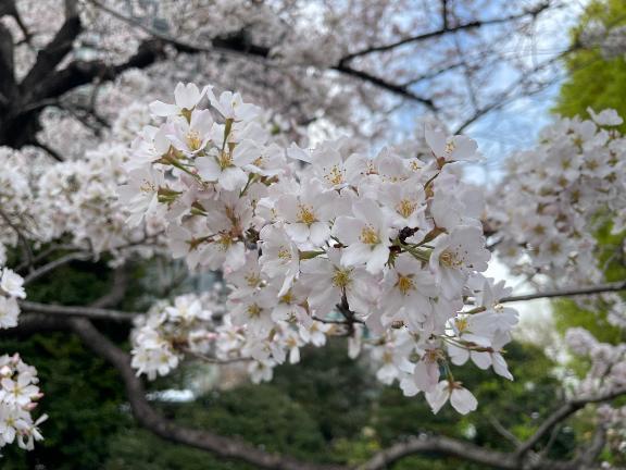 忙しいあなたに??｜写メ日記｜ミナト｜渋谷 一般デリヘル マテリアル