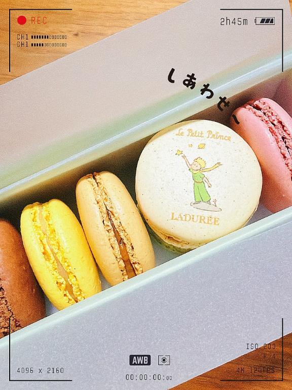 お久しぶりです?｜写メ日記｜サツキ｜渋谷 一般デリヘル マテリアル