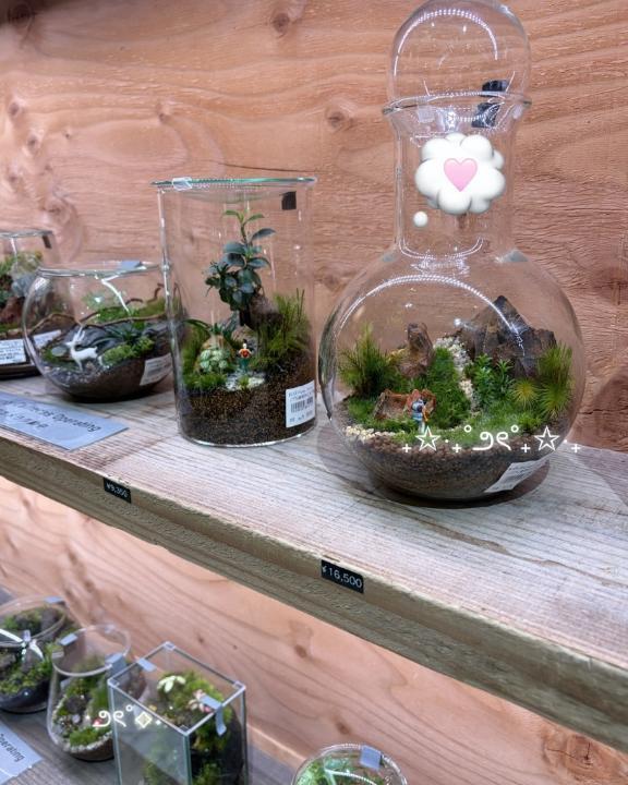 ハッピーです?｜写メ日記｜サツキ｜渋谷 一般デリヘル マテリアル