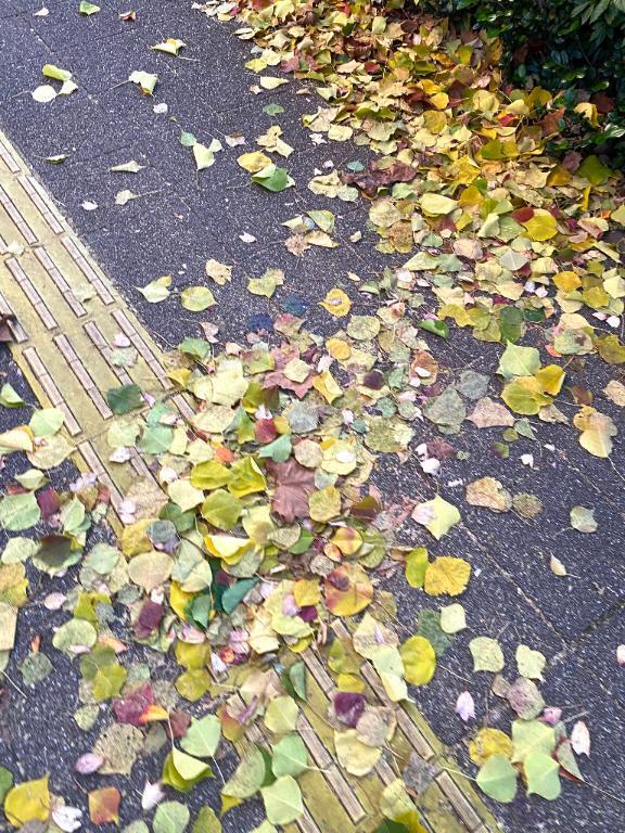 次回20時半〜です｜写メ日記｜レイコ｜渋谷 一般デリヘル マテリアル