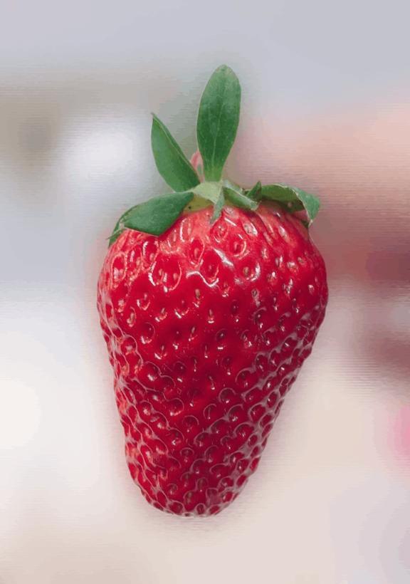 ?｜写メ日記｜レイコ｜渋谷 一般デリヘル マテリアル