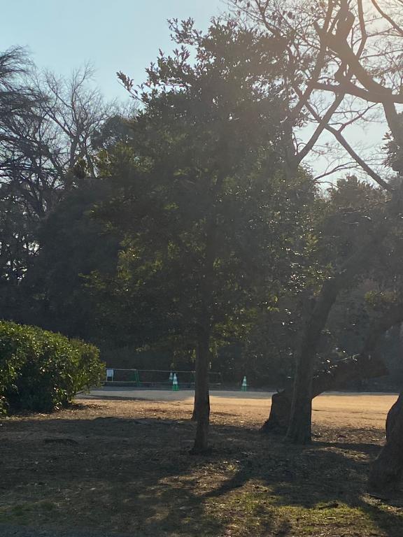 何色｜写メ日記｜レイコ｜渋谷 一般デリヘル マテリアル