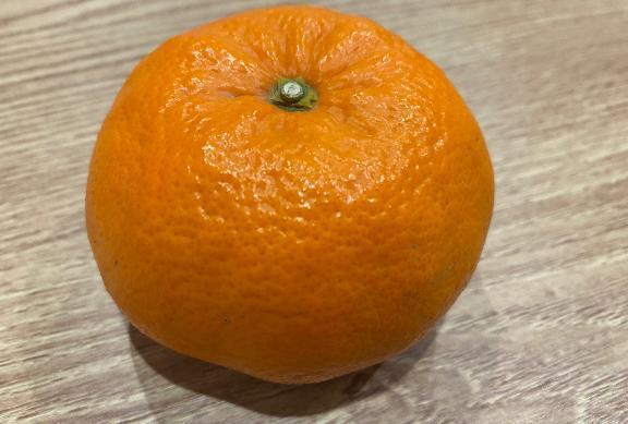 食べ比べ、始めます｜写メ日記｜レイコ｜渋谷 一般デリヘル マテリアル