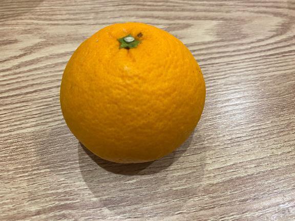 夏の後味｜写メ日記｜レイコ｜渋谷 一般デリヘル マテリアル