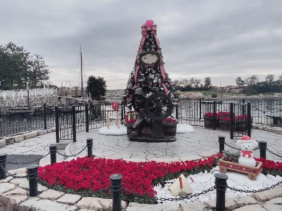 昨日｜写メ日記｜アキ｜渋谷 一般デリヘル マテリアル