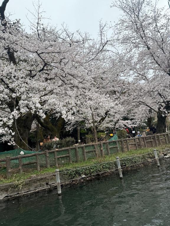 久しぶりの?｜写メ日記｜サラ｜渋谷 一般デリヘル マテリアル