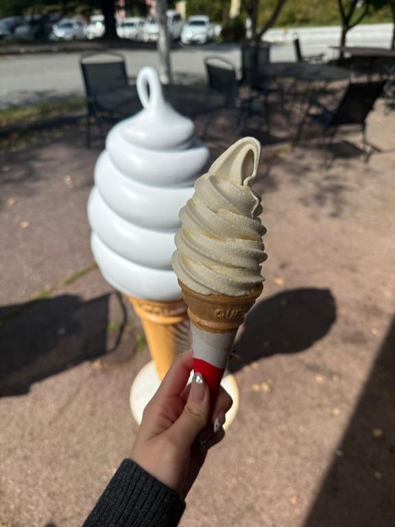 ありがとう?｜写メ日記｜サラ｜渋谷 一般デリヘル マテリアル