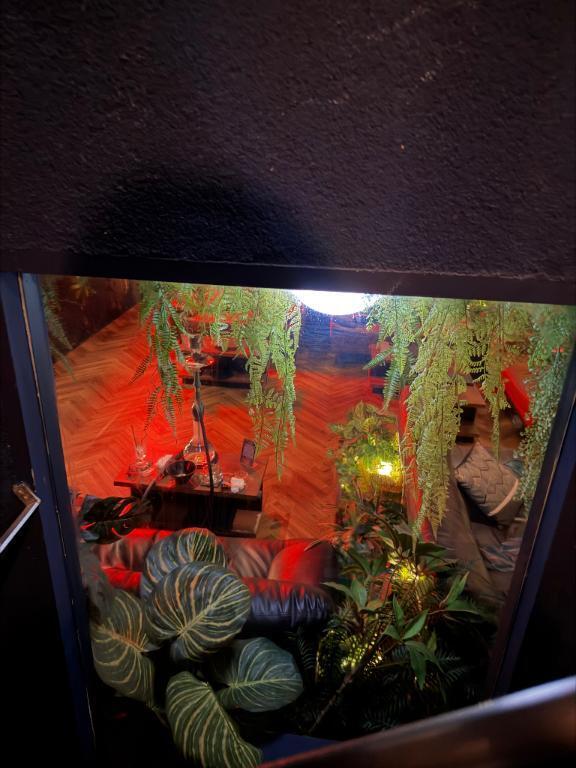 今日も｜写メ日記｜ツボミ｜渋谷 一般デリヘル マテリアル