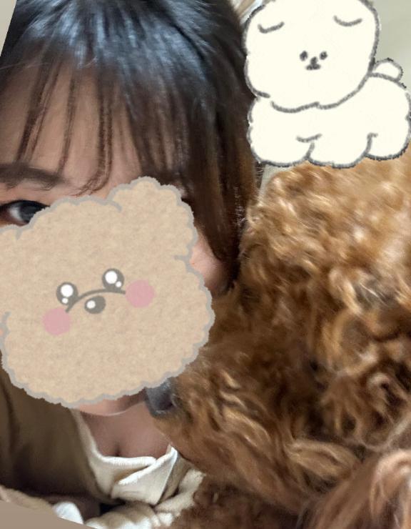 わんわん??｜写メ日記｜サオリ｜渋谷 一般デリヘル マテリアル
