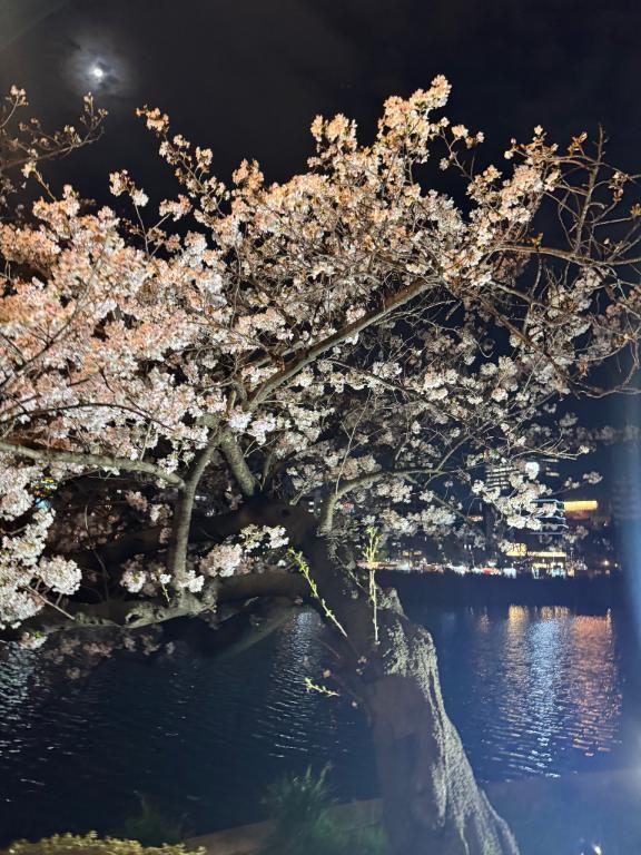 ??♀?｜写メ日記｜ユウ｜渋谷 一般デリヘル マテリアル