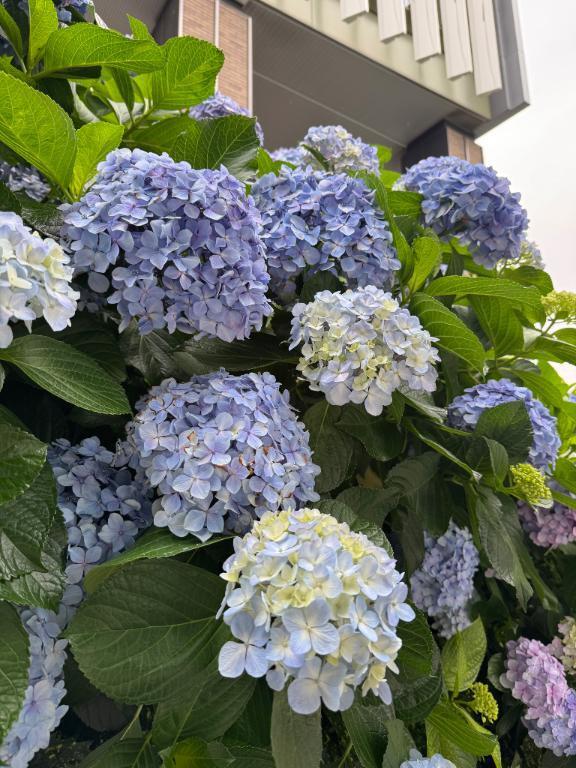 ??｜写メ日記｜ユウ｜渋谷 一般デリヘル マテリアル