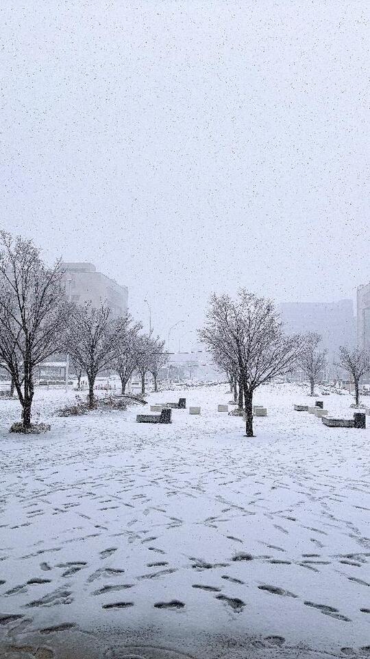 初｜写メ日記｜スミレ｜渋谷 一般デリヘル マテリアル