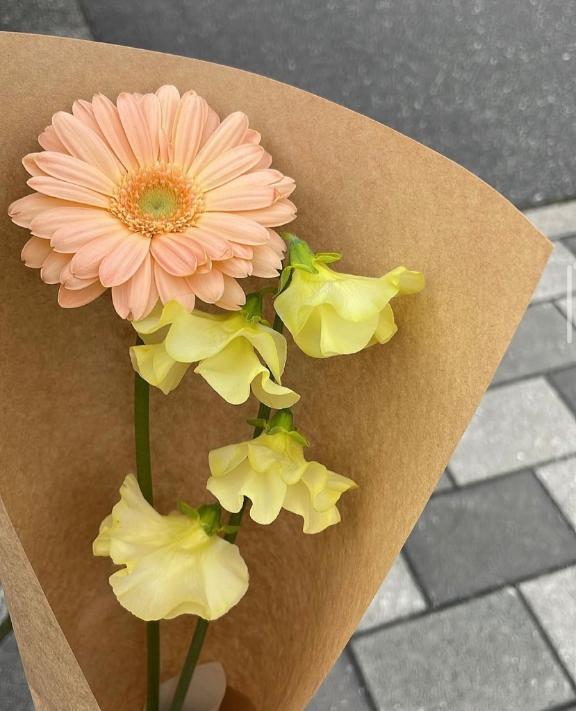 おやすみいただきます…?｜写メ日記｜リリ｜渋谷 一般デリヘル マテリアル