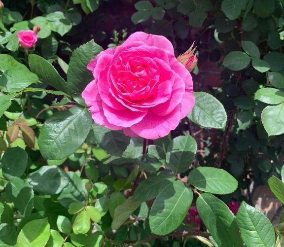 お久しぶりです…I????)｜写メ日記｜リリ｜渋谷 一般デリヘル マテリアル