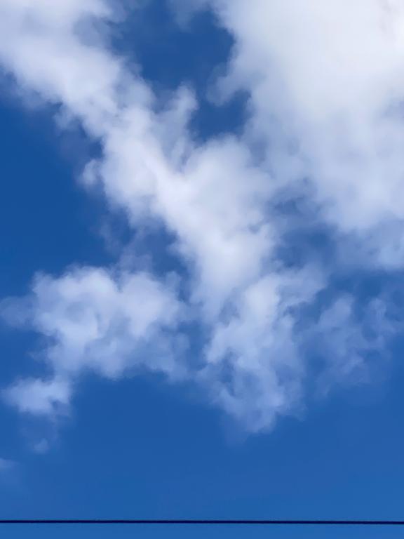 [お題]from:いつも迷うさん｜写メ日記｜武藤｜鶯谷 人妻デリヘル 華恋人（カレント）