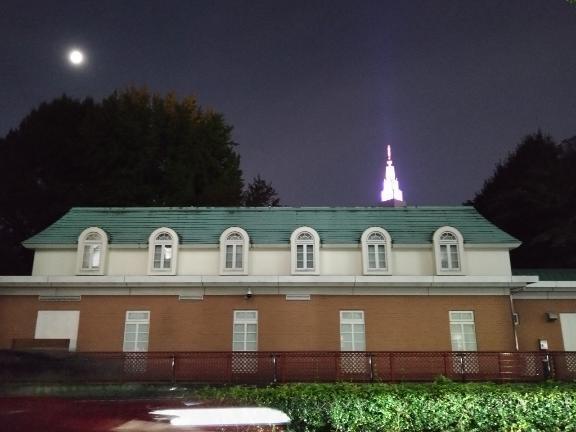 おはようございます。｜写メ日記｜沖田｜鶯谷 人妻デリヘル 華恋人（カレント）