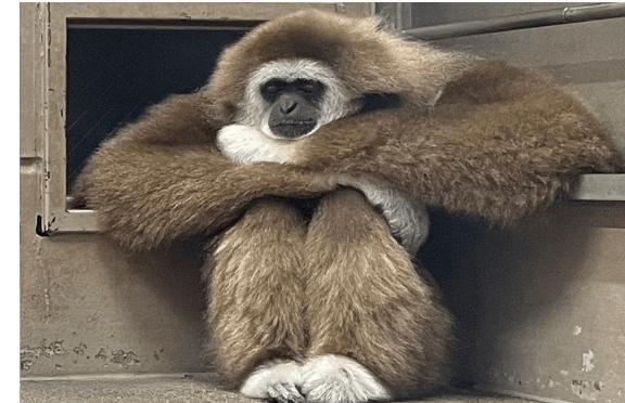 明日は金曜日｜写メ日記｜沖田｜鶯谷 人妻デリヘル 華恋人（カレント）