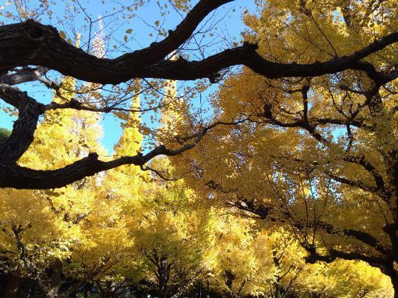 勤労をたっとんでみる｜写メ日記｜沖田｜鶯谷 人妻デリヘル 華恋人（カレント）