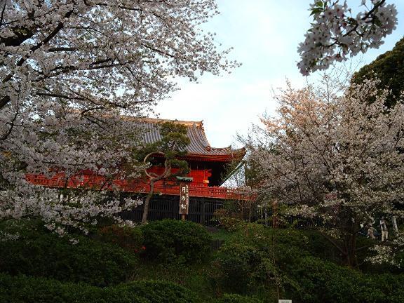 今日もありがとうございました｜写メ日記｜沖田｜鶯谷 人妻デリヘル 華恋人（カレント）