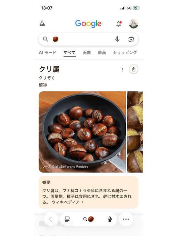 [お題]from:パンダさん｜写メ日記｜霧島｜鶯谷 人妻デリヘル 華恋人（カレント）