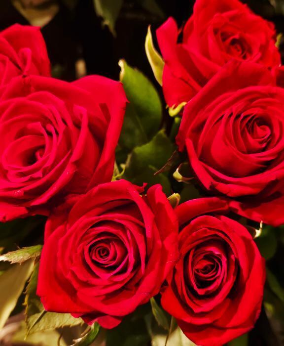 夜は冷えます｜写メ日記｜花沢｜鶯谷 人妻デリヘル 華恋人（カレント）