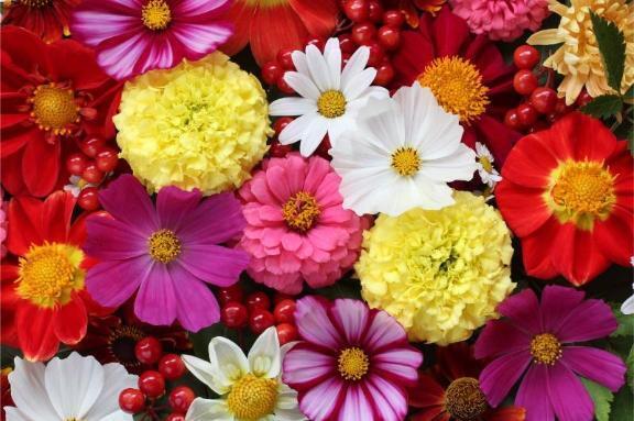 本日のお礼｜写メ日記｜目黒｜鶯谷 人妻デリヘル 華恋人（カレント）