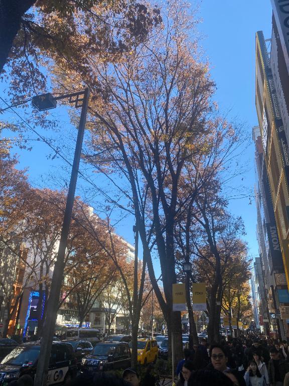 おはようございます｜写メ日記｜目黒｜鶯谷 人妻デリヘル 華恋人（カレント）