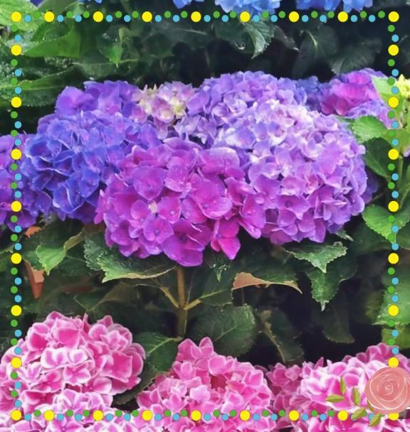 ありがとうございます｜写メ日記｜鶴見｜鶯谷 人妻デリヘル 華恋人（カレント）