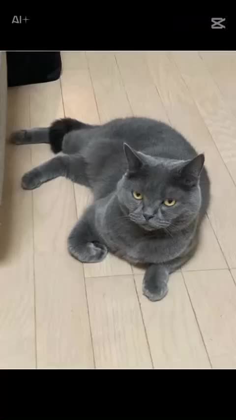 🎥動画💗永遠に♾️｜写メ日記｜宮本｜鶯谷 人妻デリヘル 華恋人（カレント）